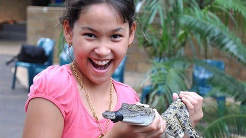 Crocodylus Park And Zoo - Accommodation Australia 1
