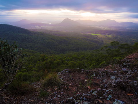 Cunninghams Gap And Spicers Gap, Main Range National Park - Local Tourism 0