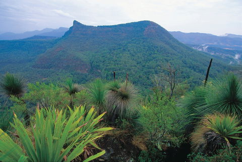 Cunninghams Gap And Spicers Gap, Main Range National Park - Local Tourism 1
