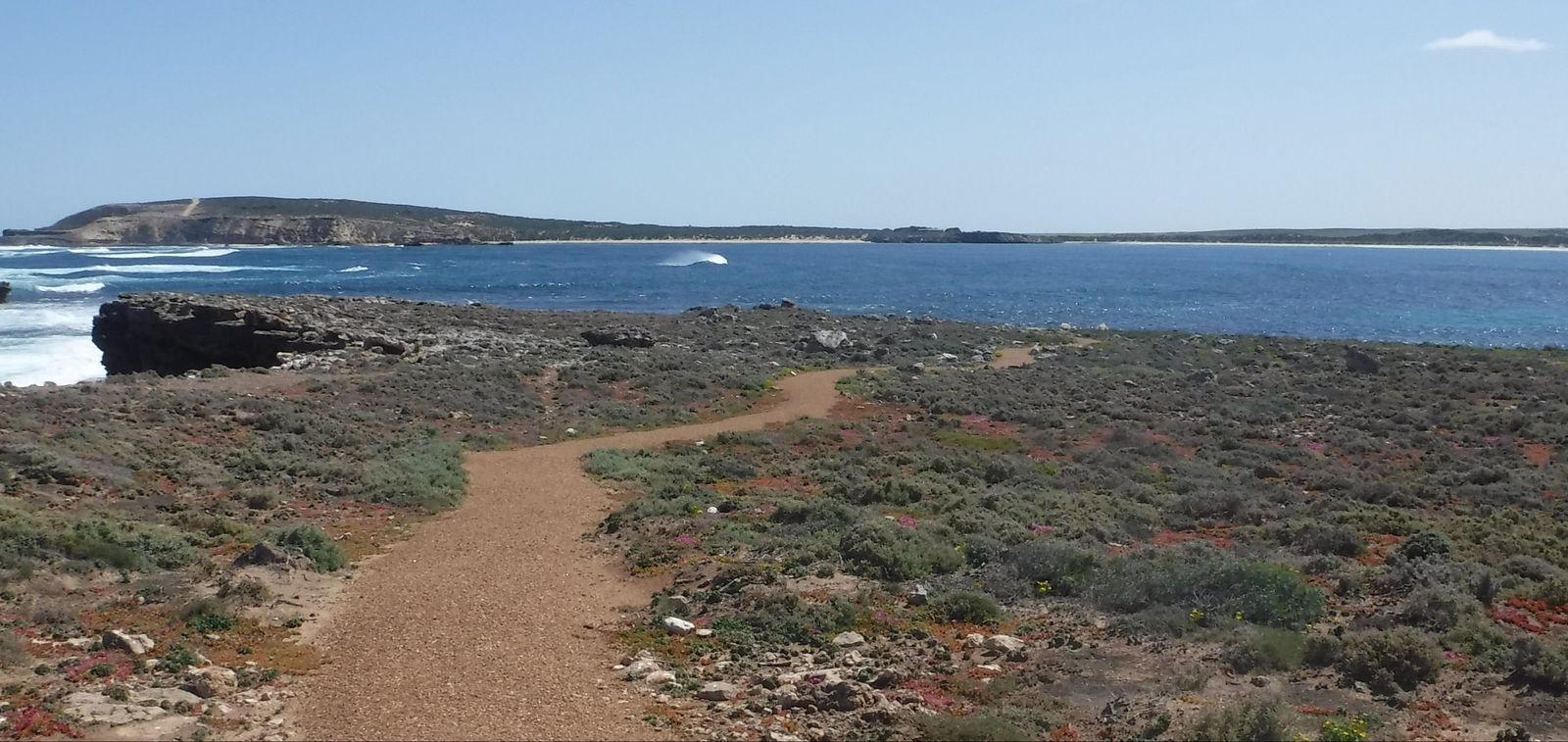 Elliston SA Local Tourism
