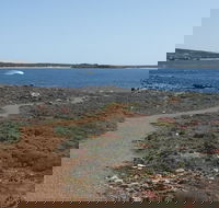 Elliston Coastal Trail - Local Tourism