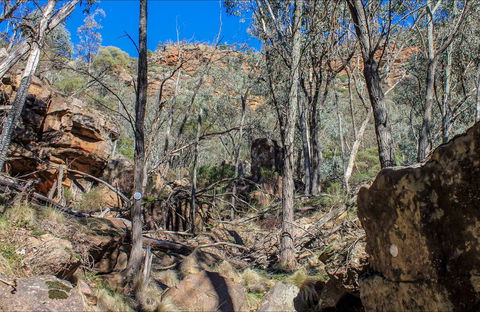 Eualdrie Walking Track - Accommodation Australia 0