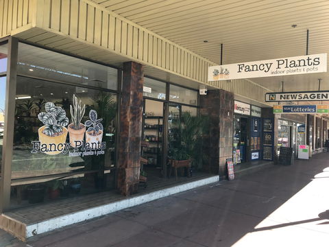 Fancy Plants - Accommodation Australia 1