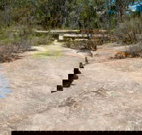 Finchley Cultural Walk - Accommodation Australia