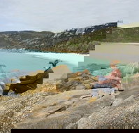 Foster - Australia Shopping