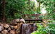 George Brown Darwin Botanic Gardens - thumb 0