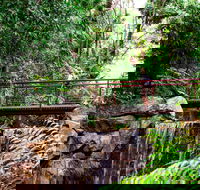 George Brown Darwin Botanic Gardens - Accommodation Australia