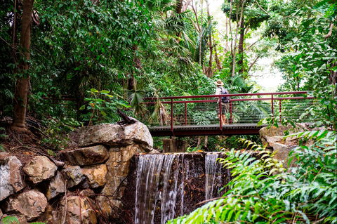 George Brown Darwin Botanic Gardens - Accommodation Australia 0