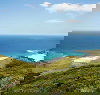 Governor Game Lookout - Local Tourism