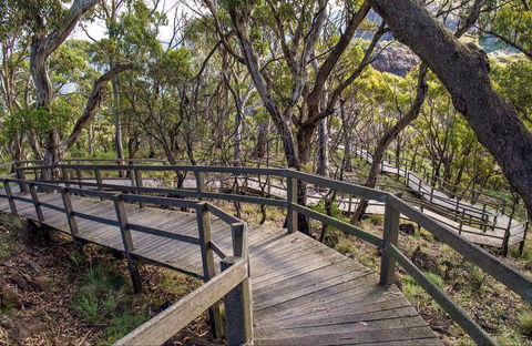 Governor Summit (Corrunbral Borawah) Walking Track - Bed n Breakfasts 0