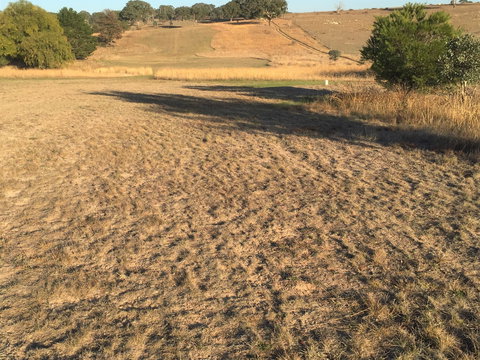 Gunning Golf Club - Local Tourism 0