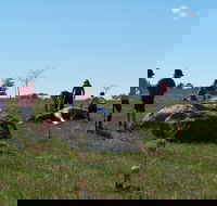 Jim Salmon  Wetland Education Site - Local Tourism