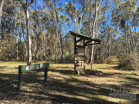 Kaiserstuhl Conservation Park - Accommodation Australia 0
