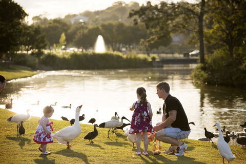 Lake Alford Recreational Park - Accommodation Australia 0