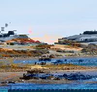 Low Head - Australia Shopping