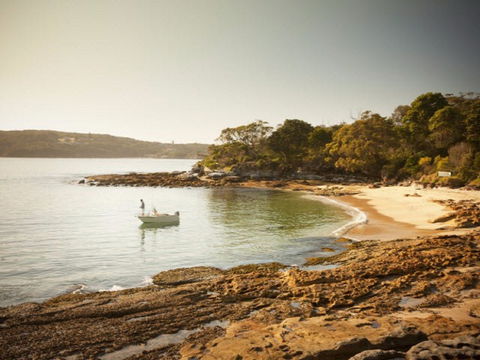 Manly To Spit Bridge Scenic Walkway - Accommodation Australia 1