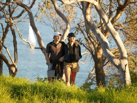 Manly To Spit Bridge Scenic Walkway - Accommodation Australia 2