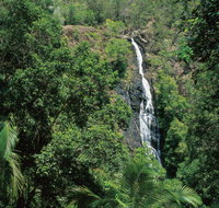 Mapleton Falls National Park - Accommodation Australia