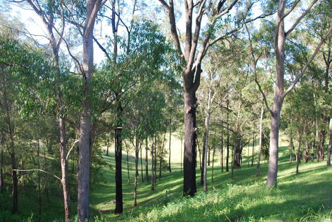 Mount Schoenstatt Spirituality Centre - Accommodation Australia 1