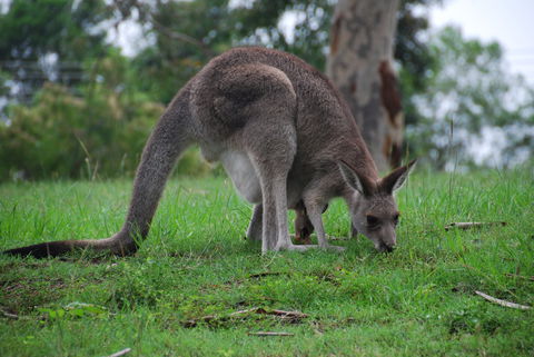 Mount Schoenstatt Spirituality Centre - Accommodation Australia 2
