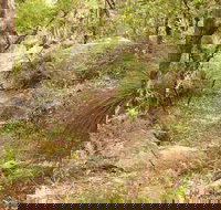 Mount Carnarvon Walking Track