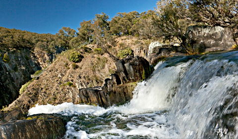 Oxley Walking Track - Local Tourism 0