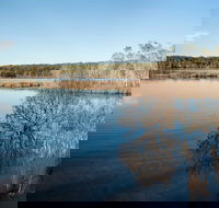 Pattimores Lagoon - Accommodation Australia