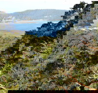 Patonga to Pearl Beach Walking Track