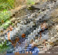 Queens Park Waterfall - Local Tourism