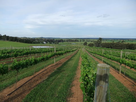 Razorback, Cawdor, Camden Park - Australia Shopping 0
