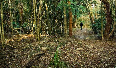 Sand Track Walk (north) - Accommodation Australia 0