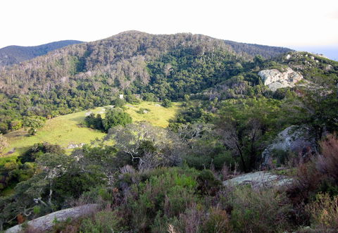 The Bellbird - Local Tourism 0