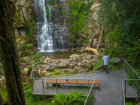 The Falls Walk, Budderoo National Park - Local Tourism 0