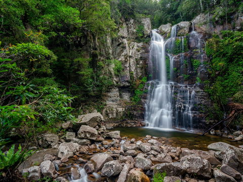 The Falls Walk, Budderoo National Park - Local Tourism 1