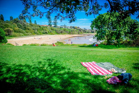 Tilbury Cove - Local Tourism 1