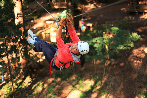 Trees Adventure - Glen Harrow Park - Local Tourism 0