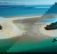 Turtle Discovery - Local Tourism