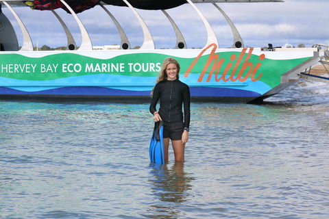 Turtle Discovery - Local Tourism 1