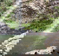 Twin Falls Circuit Springbrook National Park - Accommodation Australia
