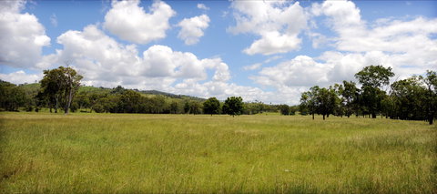 Ubobo - Bed n Breakfasts 0