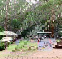 Wallingat Forest Drive - Accommodation Australia