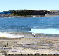 Wasp Head Picnic Area - Local Tourism