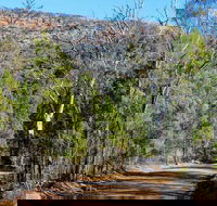 Weddin Gap to Black Spring Loop Trail - Accommodation Australia