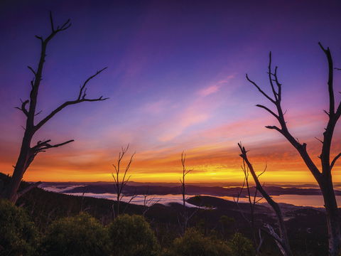 Wellington Park - Accommodation Australia 2