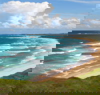 Woolgoolga Beach and Headland - Accommodation Australia