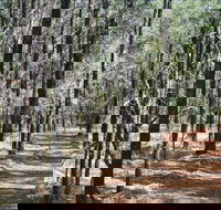 Yana-y Warruwi Walking Track - Accommodation Australia