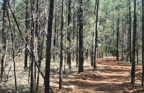 Yana-y Warruwi Walking Track - Accommodation Australia 0
