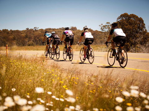 7 Peaks Ride - Dinner Plain - Local Tourism 0