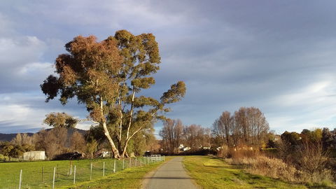 Adelong Falls Walk - Accommodation Australia 0