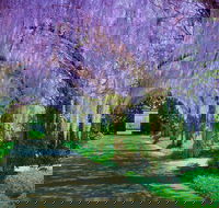 Alowyn Gardens and Nursery - Local Tourism